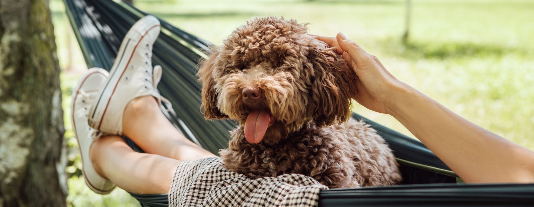 a person holding a dog 